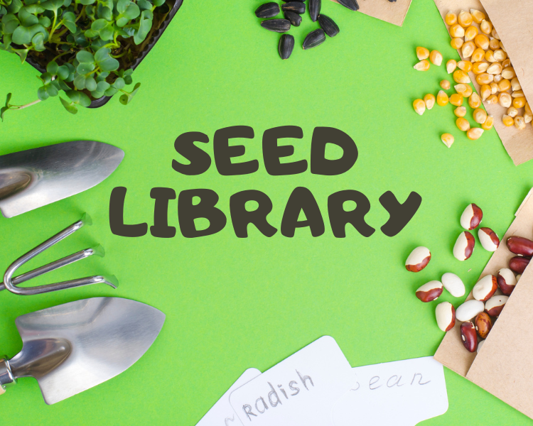 green background with plant seeds scattered around the text, Seed Library